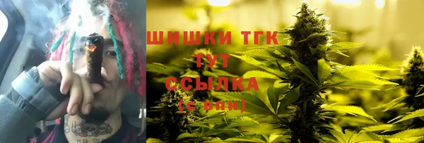 соль ск Абаза