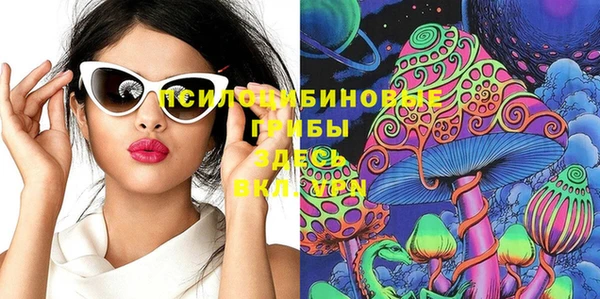 крисы Алзамай