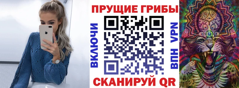 Галлюциногенные грибы MAGIC MUSHROOMS  блэк спрут как зайти  Туринск  закладки 